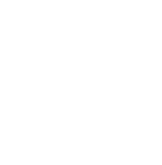 WSF Agence Web & IA, depuis 1999